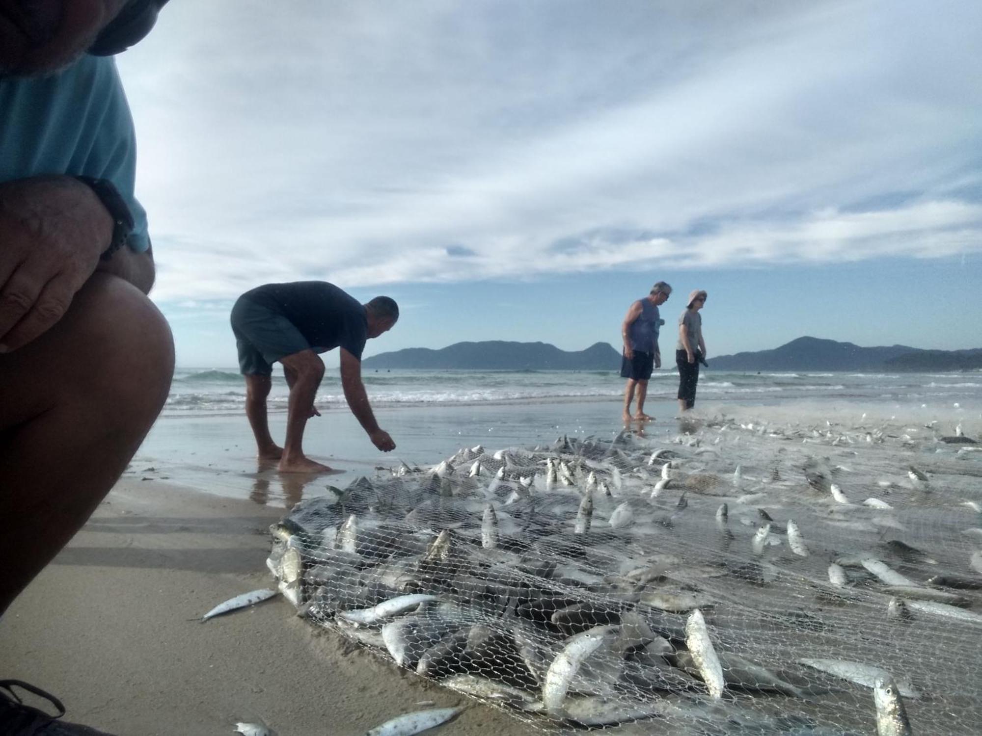 Charmoso E Moderno No Paraiso E Proximo Ao Aeroporto Florianopolis Bagian luar foto